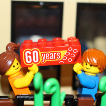 60th Anniversary LEGO Brick